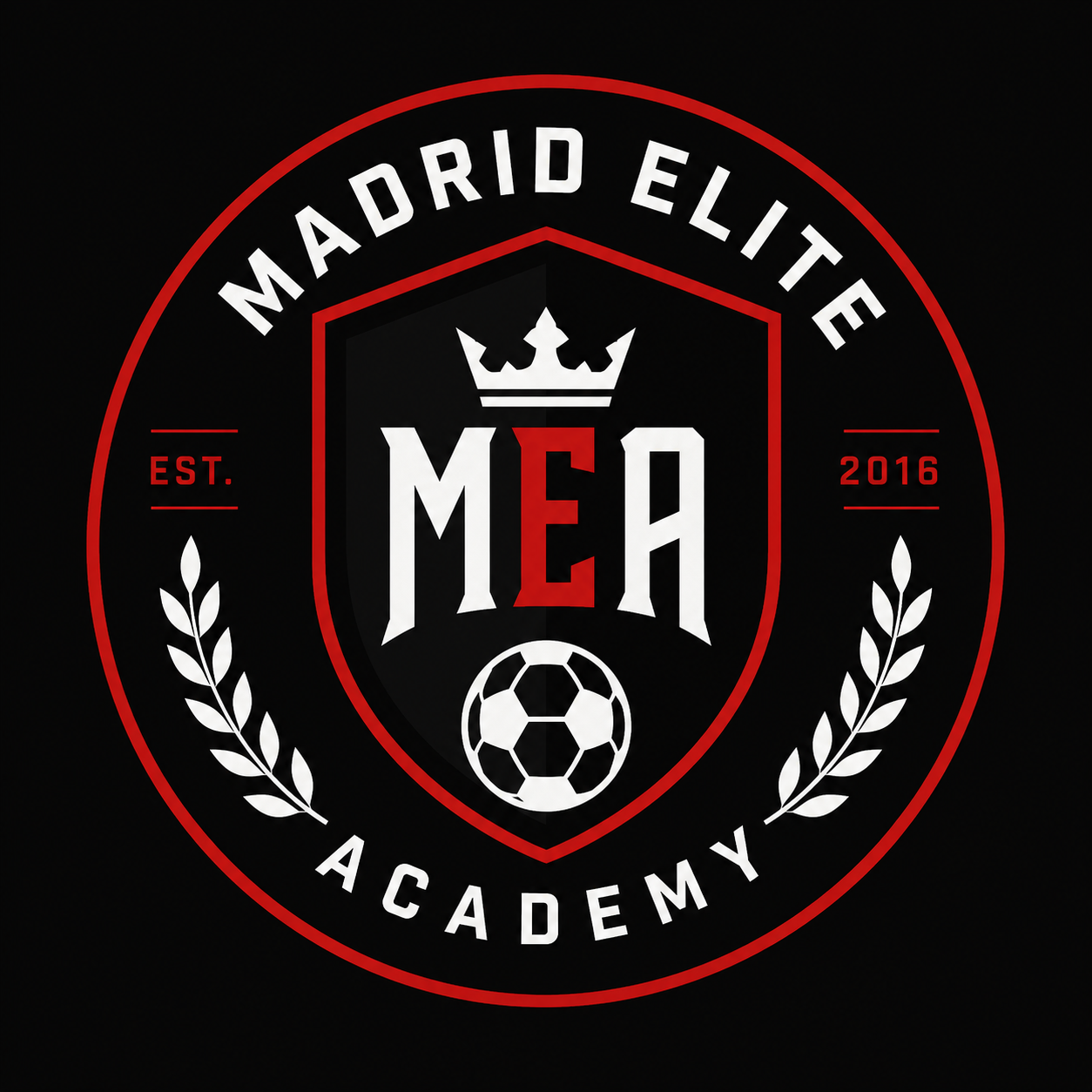 Madrid Elite Academy